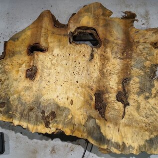 Buckeye burl slab, approx. 890 x 550 x 55 mm, 8,53 kg, 41008