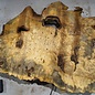 Buckeye burl slab, approx. 890 x 550 x 55 mm, 8,53 kg, 41008