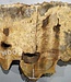 Buckeye burl slab, approx. 1020 x 550 x 55 mm, 10,25 kg, 41009