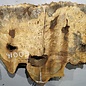 Buckeye burl slab, approx. 1020 x 550 x 55 mm, 10,25 kg, 41009