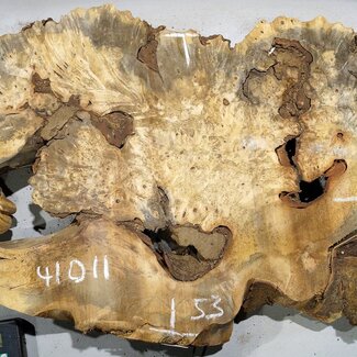 Buckeye burl slab, approx. 800 x 530 x 55 mm, 9,07 kg, 41011