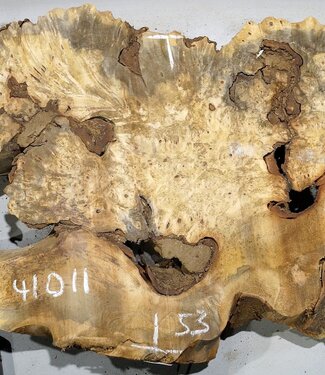 Buckeye burl slab, approx. 800 x 530 x 55 mm, 9,07 kg, 41011