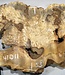 Buckeye burl slab, approx. 800 x 530 x 55 mm, 9,07 kg, 41011