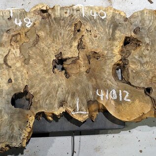 Buckeye burl slab, approx. 1260 x 480/400 x 42-60 mm, 7,62 kg, 41012