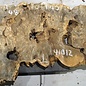 Buckeye burl slab, approx. 1260 x 480/400 x 42-60 mm, 7,62 kg, 41012