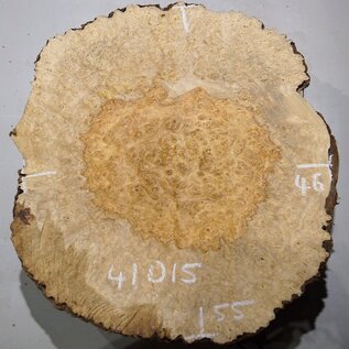 Amboyna burl slab, approx. 550 x 460 x 52 mm, 41015
