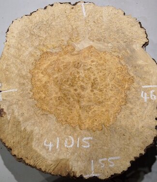 Amboina Maserplatte, ca. 550 x 460 x 52 mm, 41015