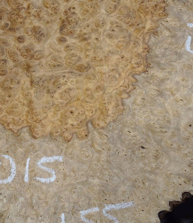 Amboyna burl slab, approx. 550 x 460 x 52 mm, 41015