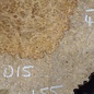 Amboina Maserplatte, ca. 550 x 460 x 52 mm, 41015