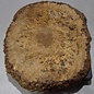 Amboyna burl slab, approx. 550 x 460 x 52 mm, 41015