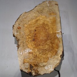 Amboina Maserplatte, ca. 650 x 540 x 52 mm, 41016