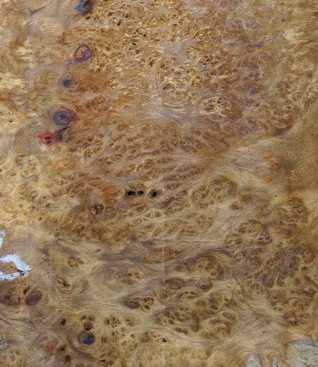 Amboina Maserplatte, ca. 650 x 540 x 52 mm, 41016