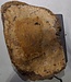 Amboyna burl slab, approx. 650 x 540 x 52 mm, 41016