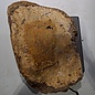 Amboyna burl slab, approx. 650 x 540 x 52 mm, 41016