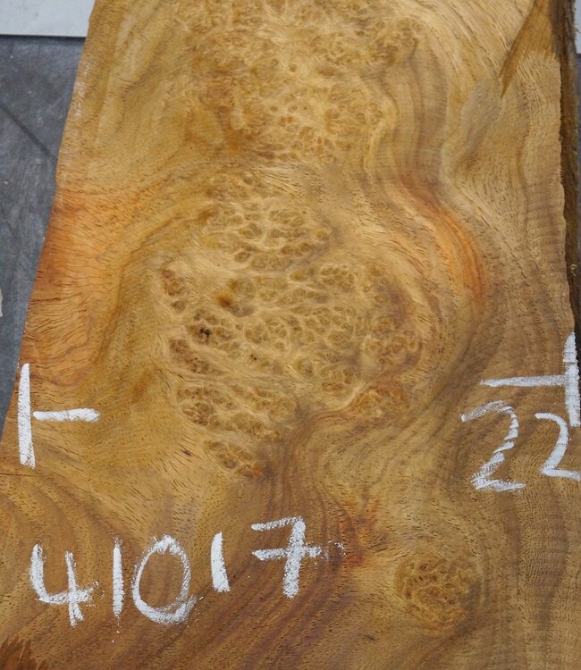 Amboina Maserplatte, ca. 620 x 220 x 45 mm, 41017