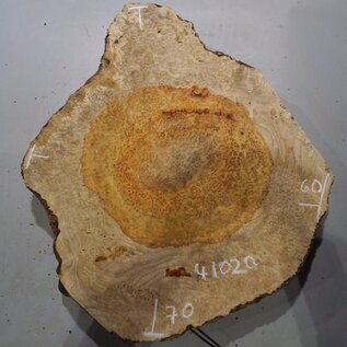 Amboina Maserplatte, ca. 700 x 600 x 50 mm, 41020