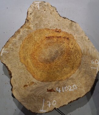 Amboina Maserplatte, ca. 700 x 600 x 50 mm, 41020