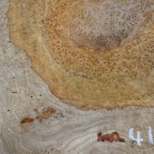 Amboyna burl slab, approx. 700 x 600 x 50 mm, 41020