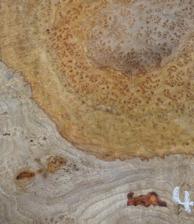 Amboyna burl slab, approx. 700 x 600 x 50 mm, 41020
