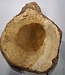 Amboyna burl slab, approx. 700 x 600 x 50 mm, 41020