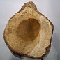 Amboina Maserplatte, ca. 700 x 600 x 50 mm, 41020