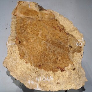 Amboyna burl slab, approx. 740 x 600 x 55 mm, 41024