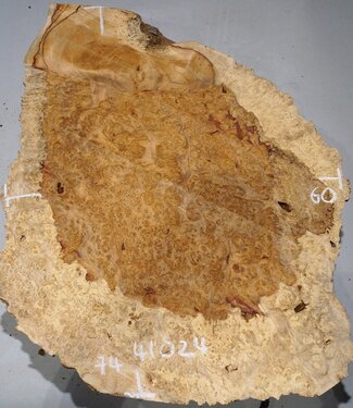 Amboyna burl slab, approx. 740 x 600 x 55 mm, 41024