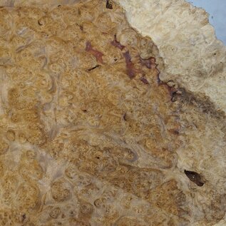 Amboyna burl slab, approx. 740 x 600 x 55 mm, 41024