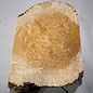 Amboyna burl slab, approx. 610 x 450 x 52 mm, 41025