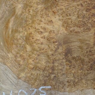 Amboyna burl slab, approx. 610 x 450 x 52 mm, 41025