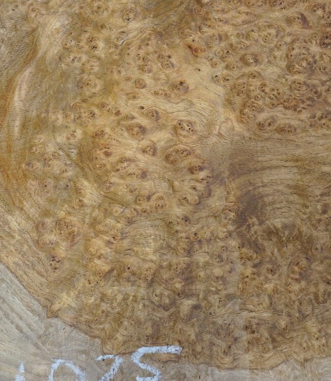 Amboina Maserplatte, ca. 610 x 450 x 52 mm, 41025