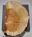 Amboyna burl slab, approx. 480 x 320 x 30-65 mm, 41026