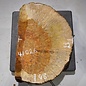 Amboyna burl slab, approx. 480 x 320 x 30-65 mm, 41026