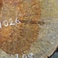 Amboina Maserplatte, ca. 480 x 320 x 30-65 mm, 41026