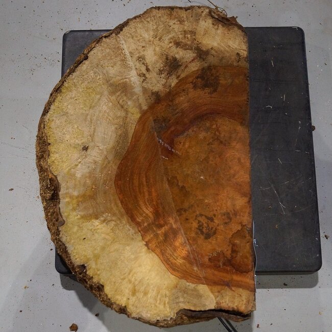 Amboina Maserplatte, ca. 480 x 320 x 30-65 mm, 41026