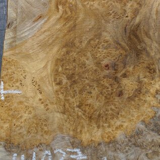 Amboyna burl slab, approx. 540 x 340 x 45 mm, 41027