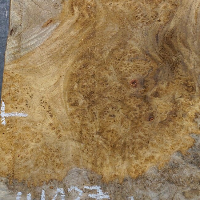 Amboyna burl slab, approx. 540 x 340 x 45 mm, 41027