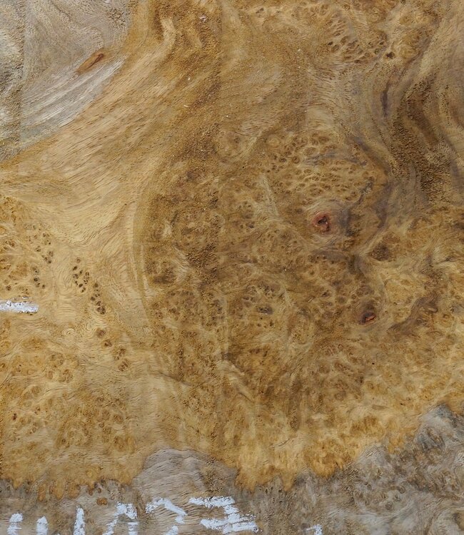 Amboyna burl slab, approx. 540 x 340 x 45 mm, 41027