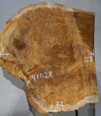 Amboyna burl slab, approx. 720 x 580 x 50-80 mm, 41028