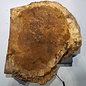 Amboyna burl slab, approx. 720 x 580 x 50-80 mm, 41028