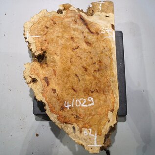 Amboyna burl slab, approx. 620 x 370 x 55-85 mm, 41029