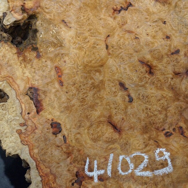 Amboyna burl slab, approx. 620 x 370 x 55-85 mm, 41029