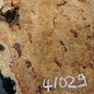 Amboyna burl slab, approx. 620 x 370 x 55-85 mm, 41029