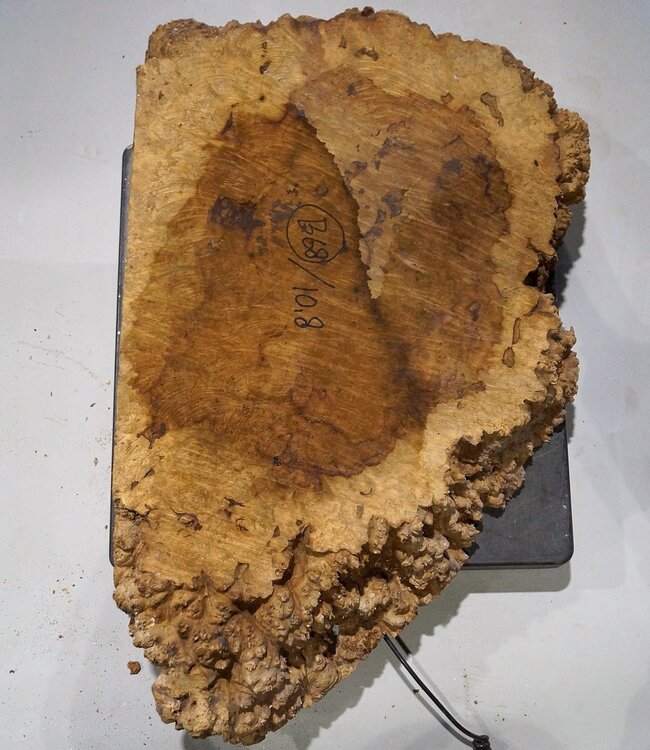 Amboyna burl slab, approx. 620 x 370 x 55-85 mm, 41029
