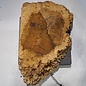 Amboyna burl slab, approx. 620 x 370 x 55-85 mm, 41029