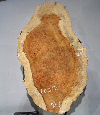 Amboina Maserplatte, ca. 830 x 450 x 70-95 mm, 41030