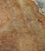 Amboyna burl slab, approx. 830 x 450 x 70-95 mm, 41030