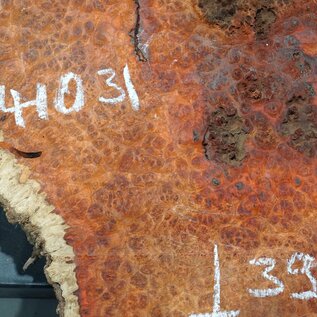 Amboyna burl slab, approx. 440 x 390 x 55 mm, 41031