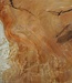 Amboyna burl slab, approx. 870 x 480 x 50 mm, 41032