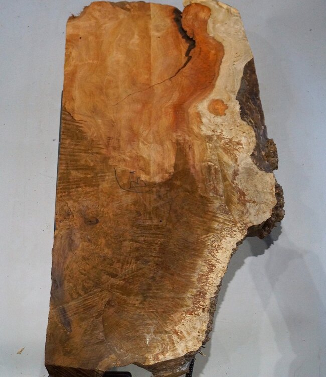 Amboina Maserplatte, ca. 870 x 480 x 50 mm, 41032